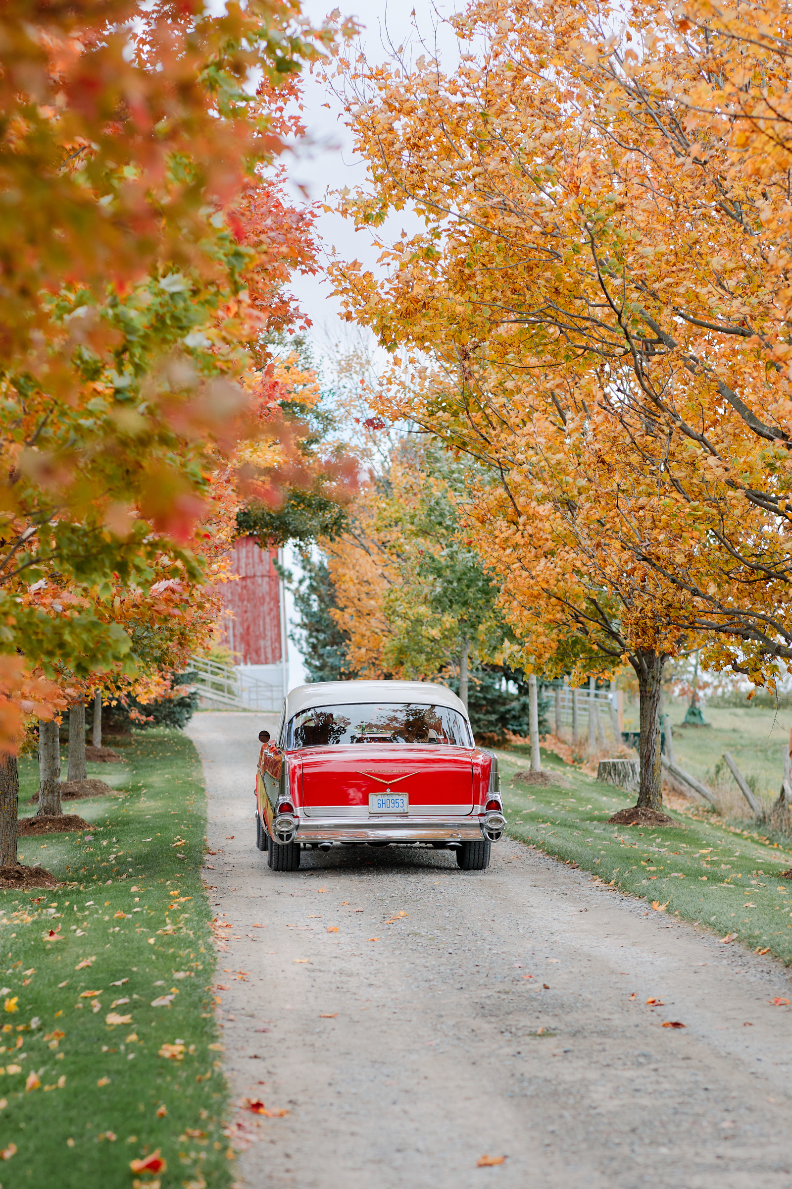 Cambium Farms Wedding Photography - Greco Photo Co