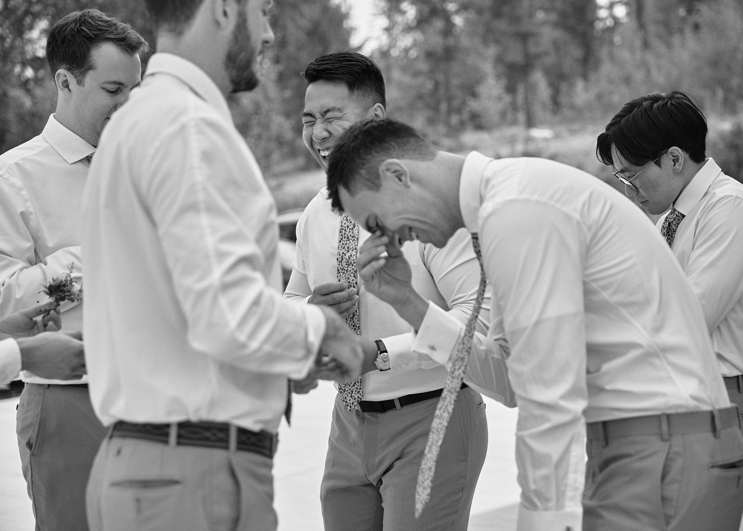 House of the Friesians, Invermere BC Wedding Photography