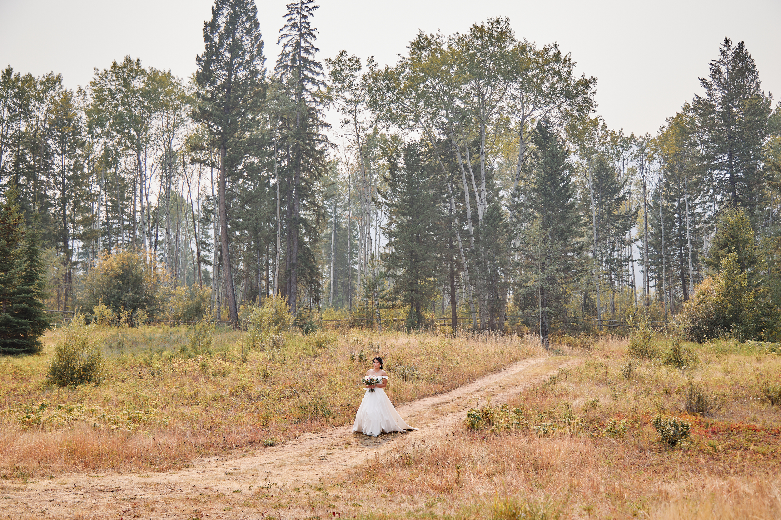 House of the Friesians, Invermere BC Wedding Photography