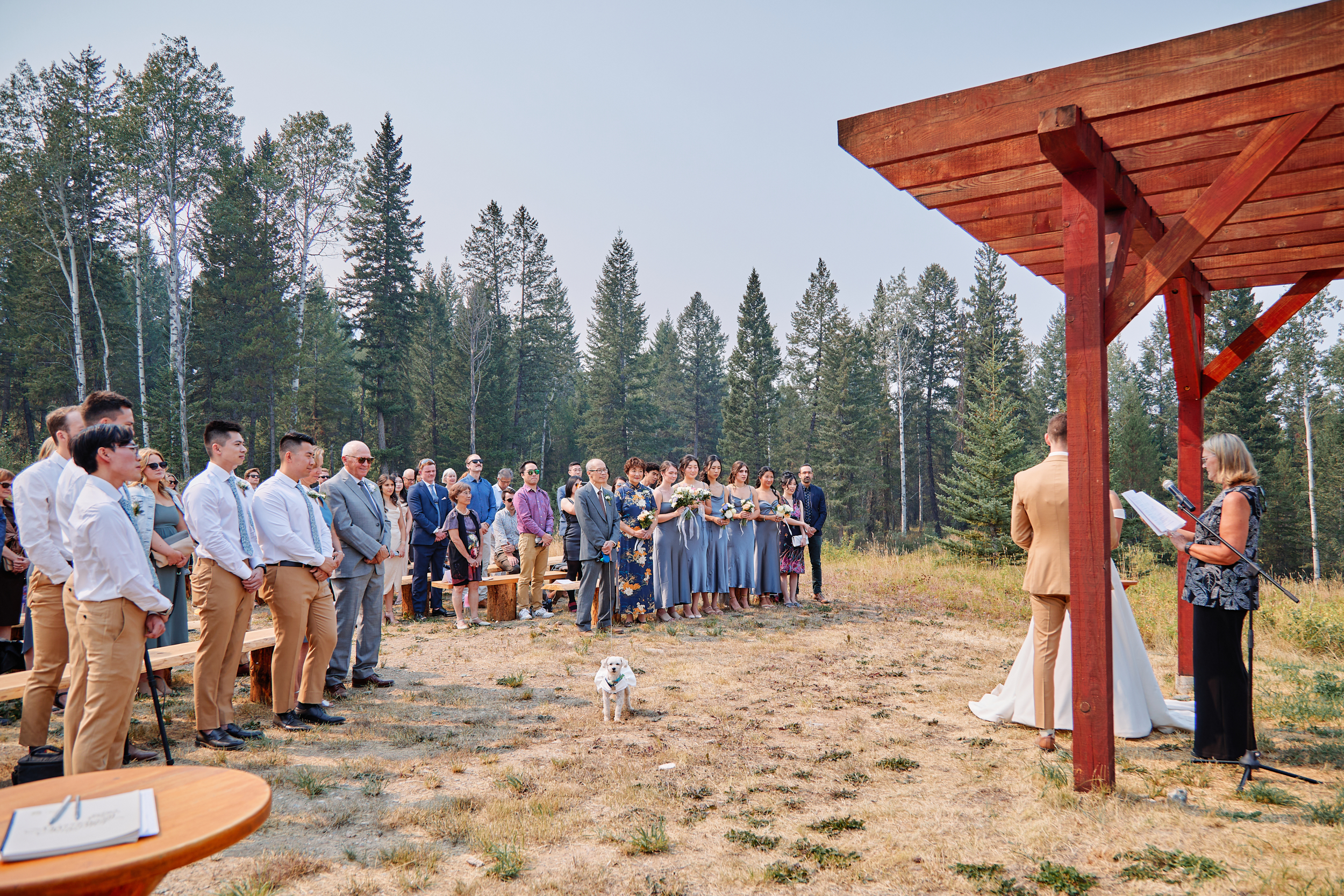 House of the Friesians, Invermere BC Wedding Photography