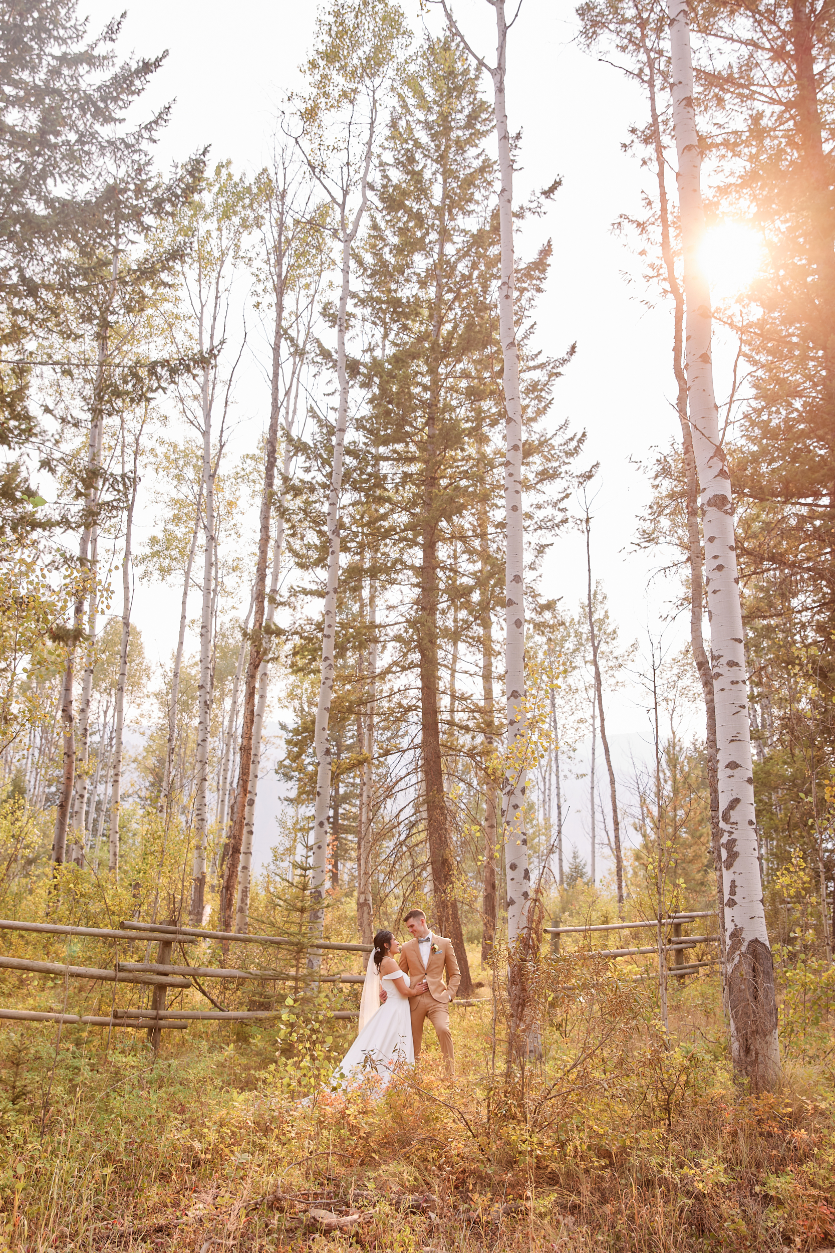 House of the Friesians, Invermere BC Wedding Photography