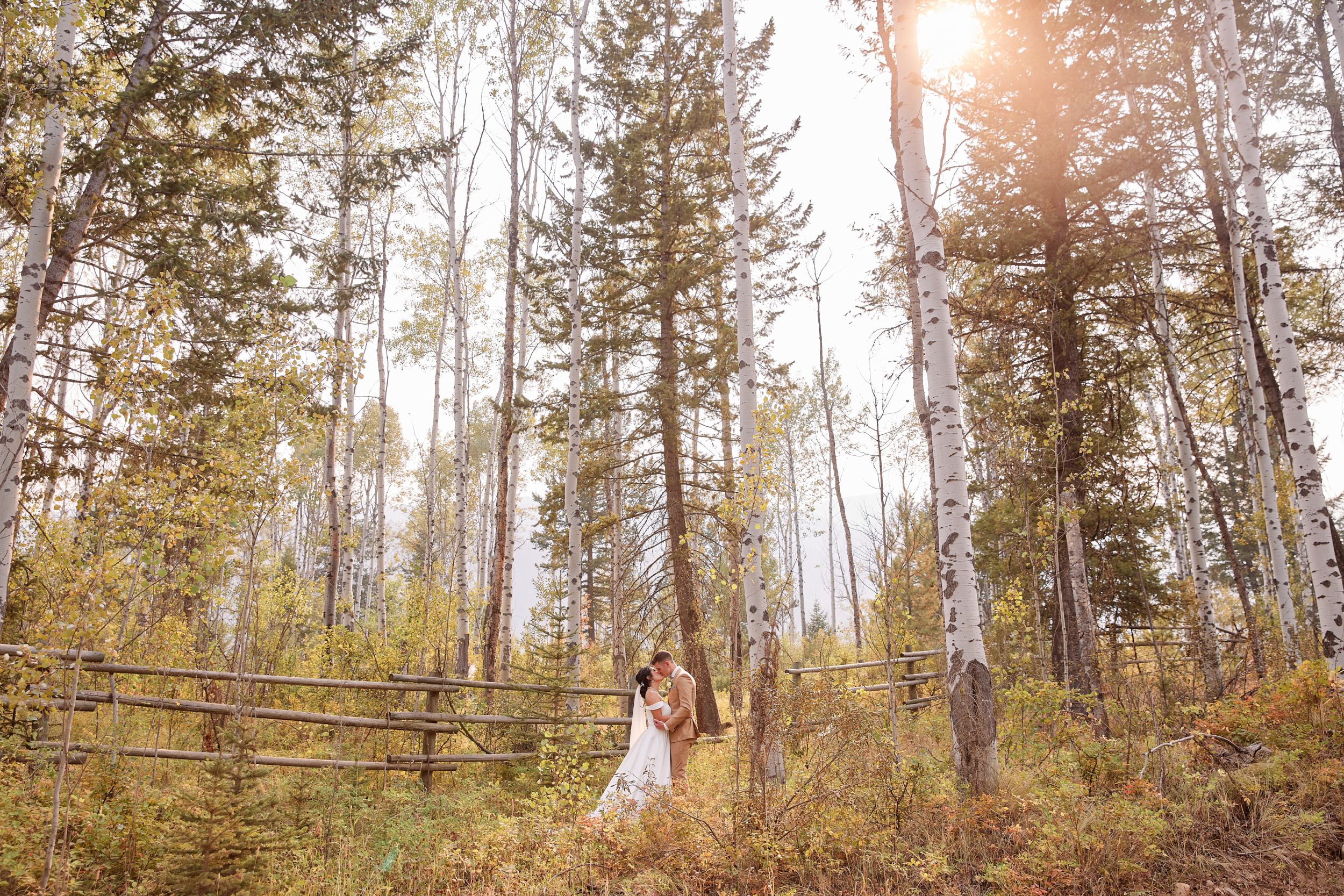 House of the Friesians, Invermere BC Wedding Photography