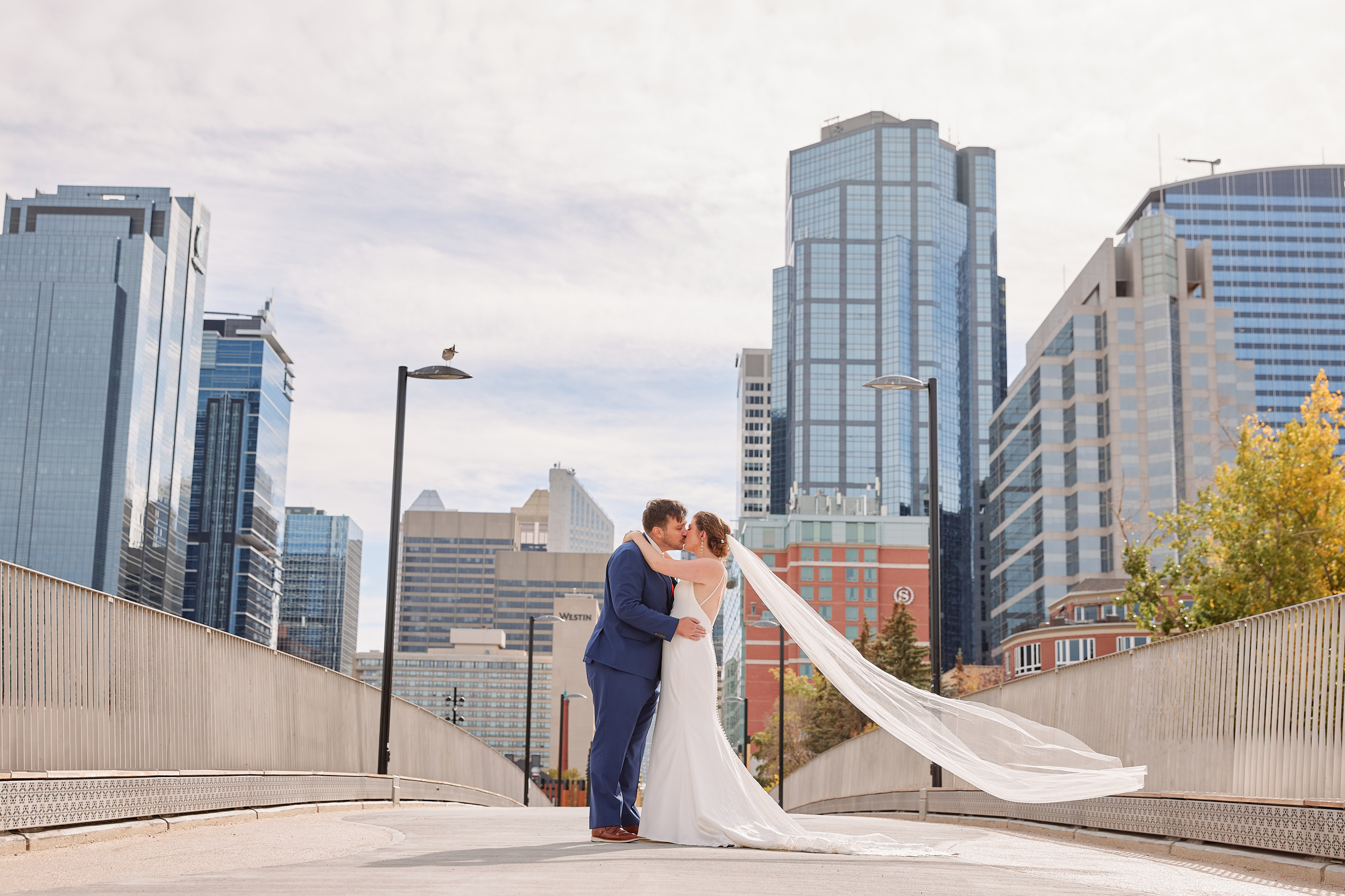 Commons Wedding Calgary