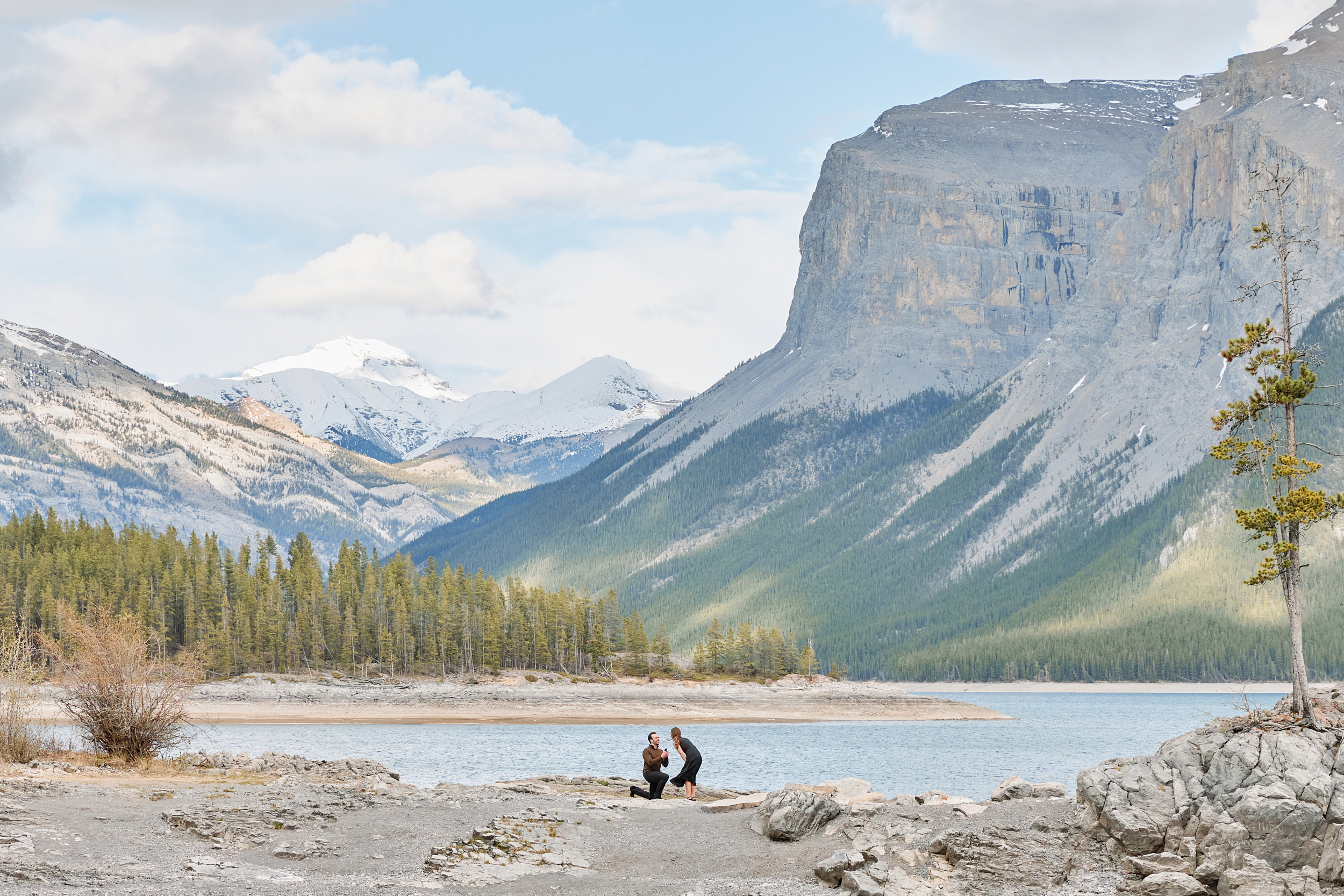 Banff Proposal