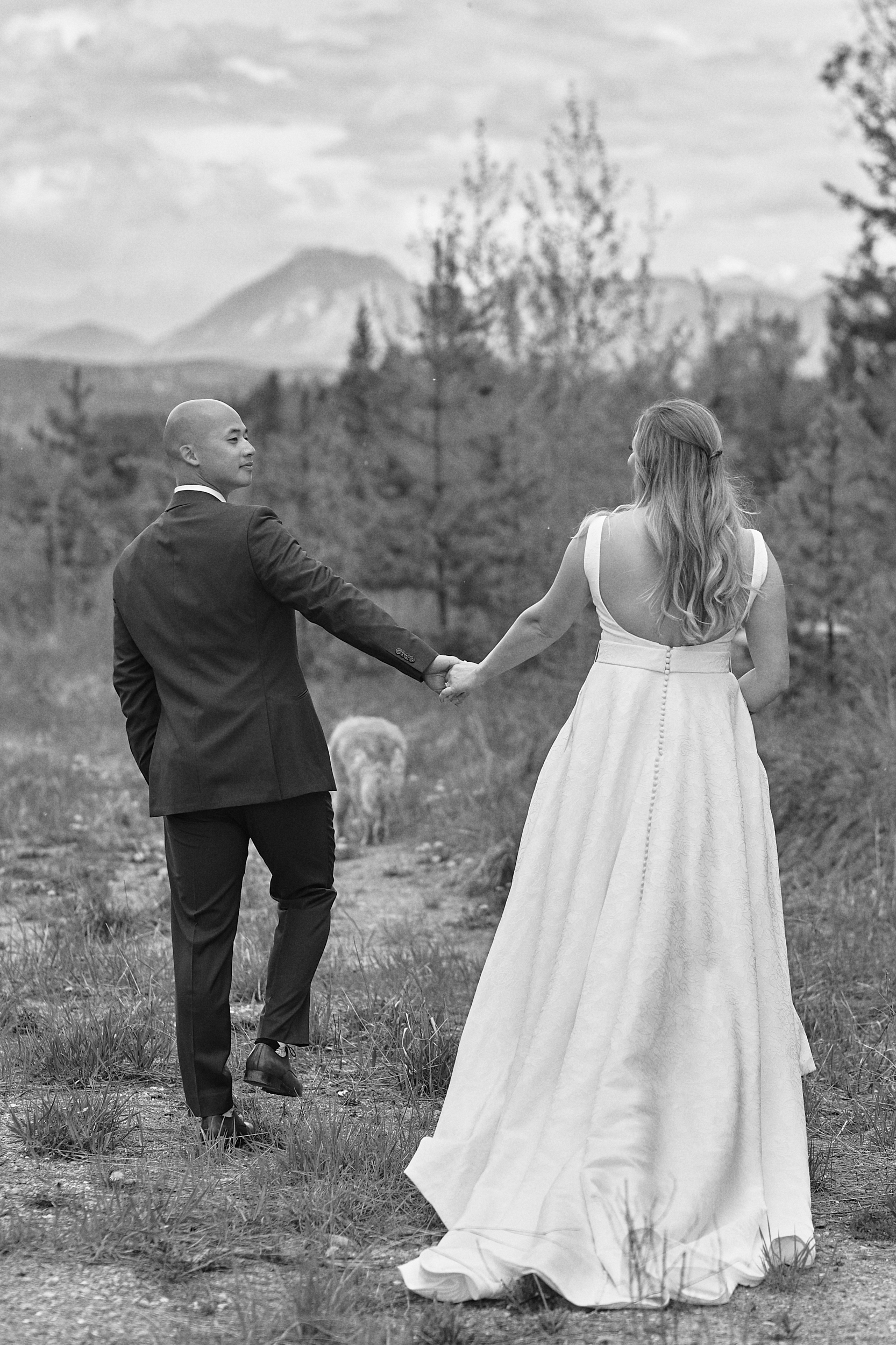 Invermere Wedding Photography