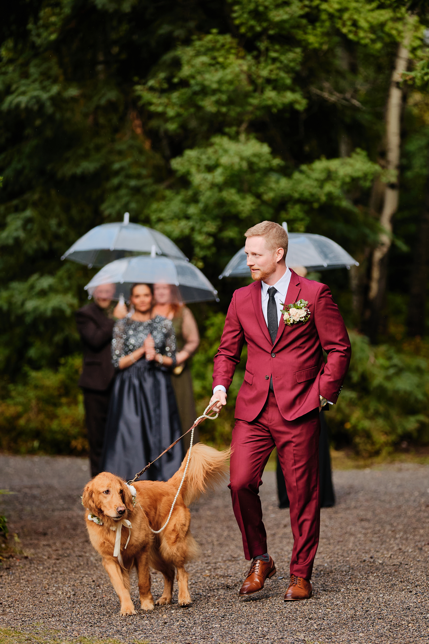 Canmore Ranch Wedding - Greco Photo Co