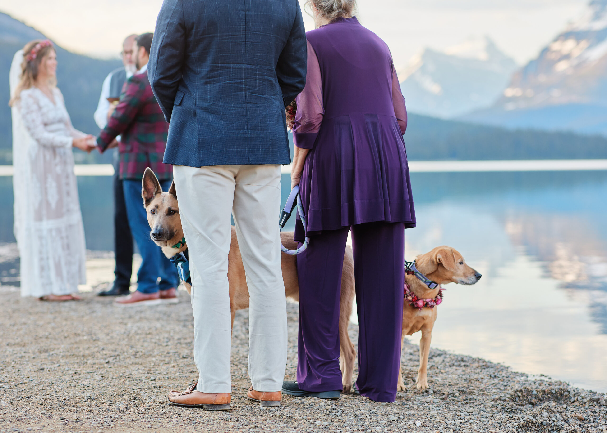 Bow Lake Elopement - Greco Photo Co